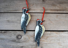 Load image into Gallery viewer, Yellow-bellied Sapsucker