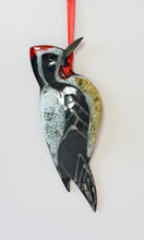 Load image into Gallery viewer, Yellow-bellied Sapsucker