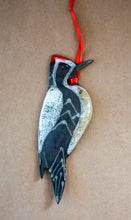 Load image into Gallery viewer, Yellow-bellied Sapsucker