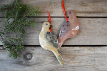 Load image into Gallery viewer, Mourning Dove