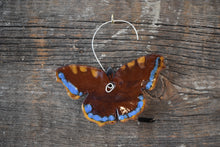 Load image into Gallery viewer, Mourning Cloak